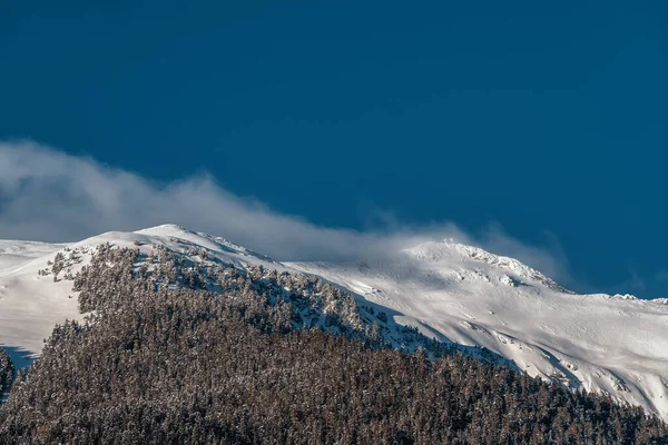 Snowy mountain range. Sunny mountain top. Winter mountain forest. Winter mountain landscape. Caucasus Mountains. Background