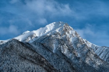 Kafkas dağları. Arkhyz 'de Krasnaya Dağı. Kar zirvesi ve dağ yamacı. Karda ağaçlar.