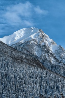 Kafkas dağları. Arkhyz 'de Krasnaya Dağı. Kar zirvesi ve dağ yamacı. Karda ağaçlar.