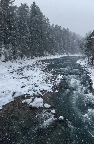 Bolshoy Zelenchuk River in Arkhyz. Winter river. Snowy and frosty landscape. Winter forest. Rocky river and water flow.