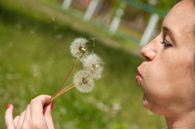 Üç dandelions buket