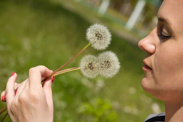 Boeket van paardebloemen — Stockfoto