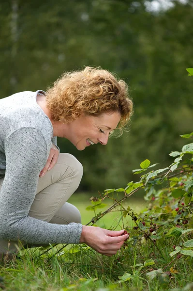 Lachende vrouw plukken bessen in de bossen — Stockfoto