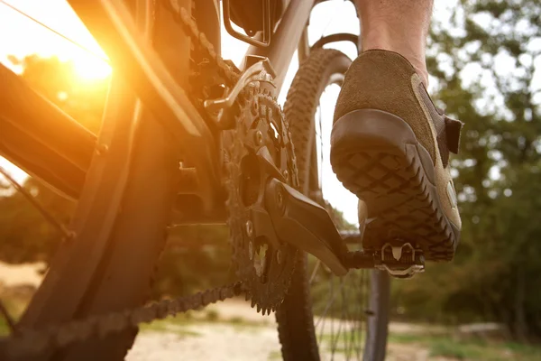 Vista posteriore uomo peddling bike — Foto Stock