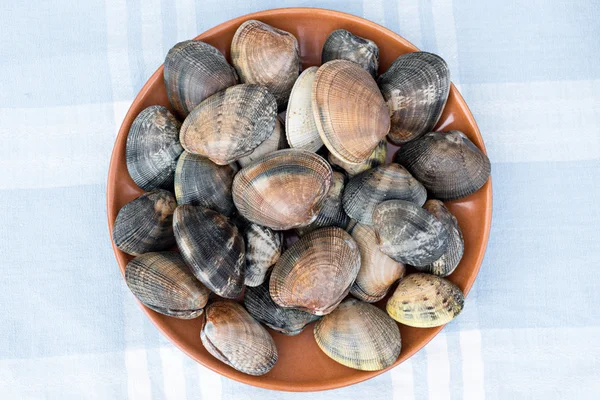 Detail of clams — Stock Photo, Image