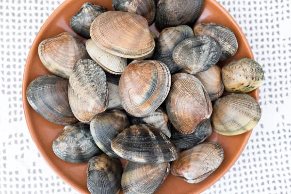 Detail of clams — Stock Photo, Image