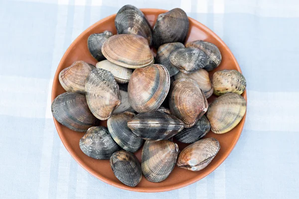 Detail of clams — Stock Photo, Image