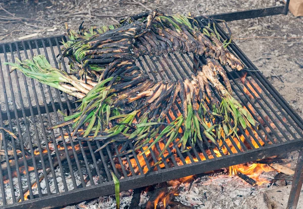 Calsots op de barbecue — Stockfoto
