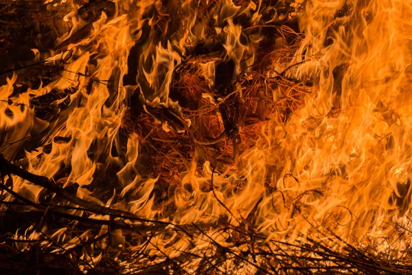 Oheň na hoře — Stock fotografie