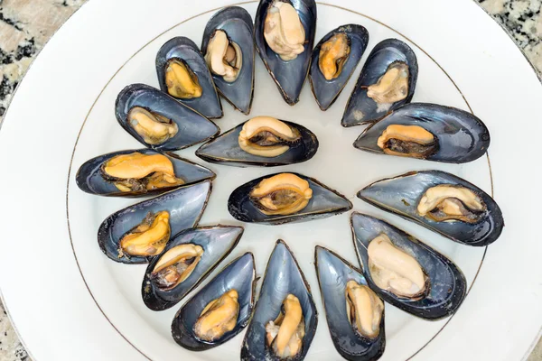 Dish of steamed mussels — Stock Photo, Image