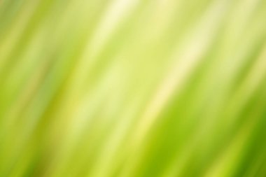 Pürüzsüz bir hareketle renkli arkaplan