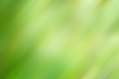 Pürüzsüz bir hareketle renkli arkaplan