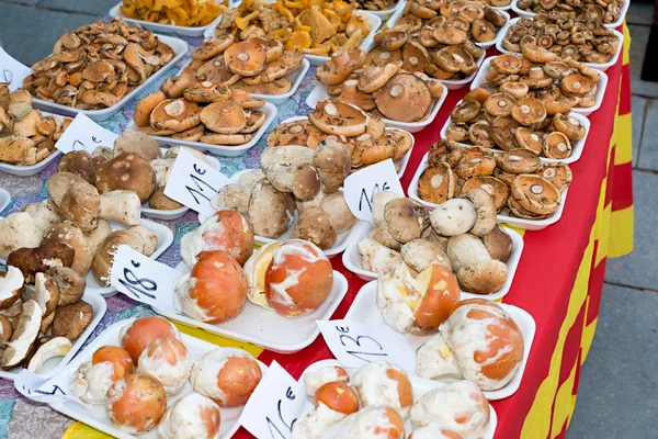 Assorted mushrooms — Stock Photo, Image