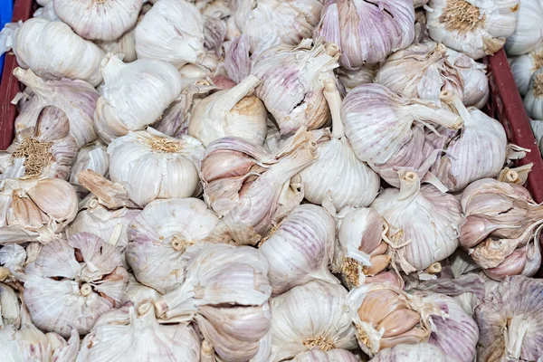 Knoblauch — Stockfoto