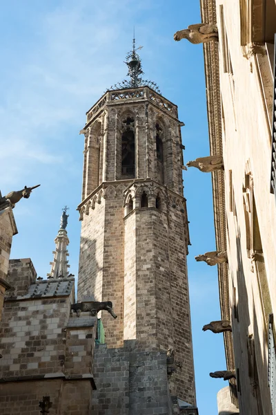 Katedral barcelona — Stok fotoğraf