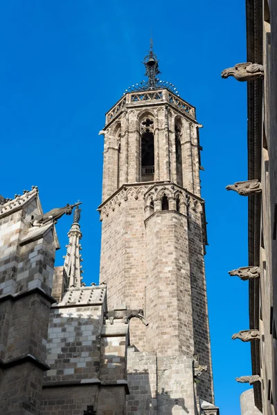 Barcelonská katedrála — Stock fotografie