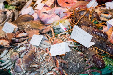 Balık ve deniz ürünleri mağazası