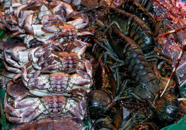 Fish and seafood store — Stock Photo, Image