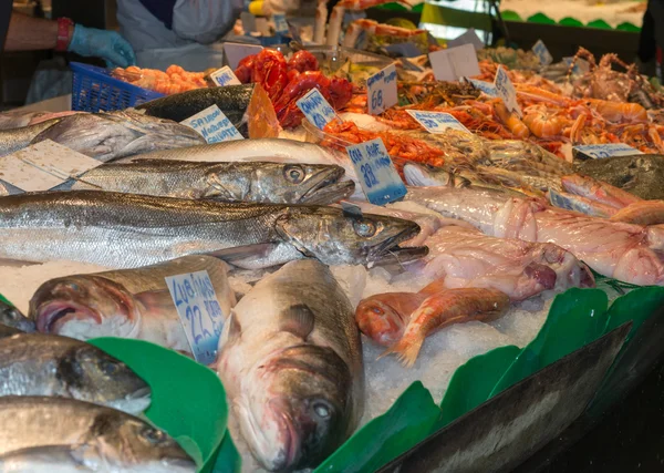 Loja de peixe e marisco — Fotografia de Stock