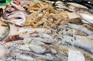 Balık ve deniz ürünleri mağazası