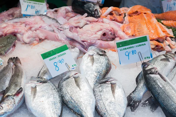 Fish and seafood store — Stock Photo, Image