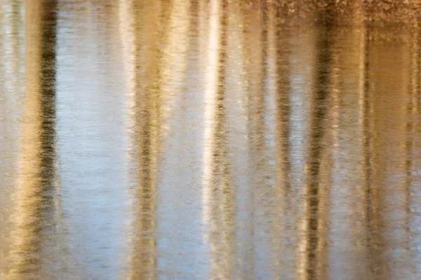 Árvores refletidas na água — Fotografia de Stock