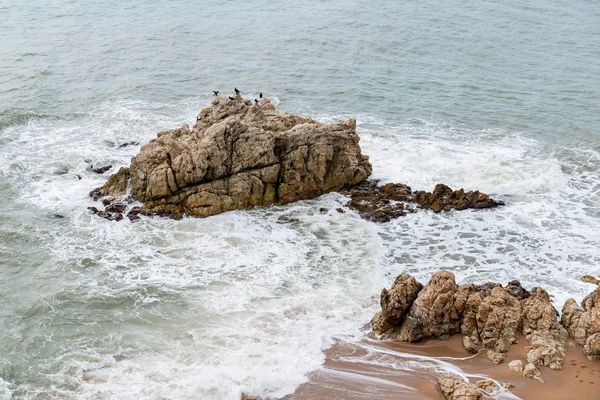 Felsen an der Küste — Stockfoto