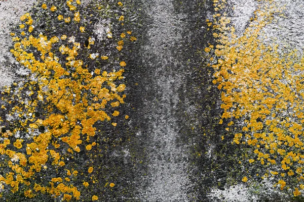 Wet wall — Stock Image Wet wall Royalty Free Stock Photos
