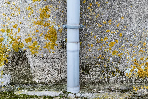 Wet wall — Stock Image Wet wall Stock Image