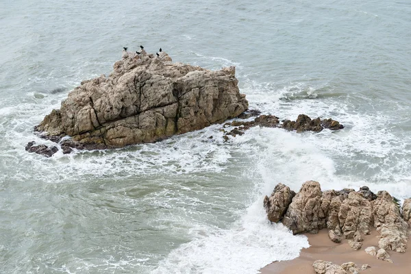 Rotsachtige kust — Stockfoto