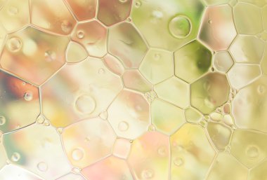 Renkli su damlaları