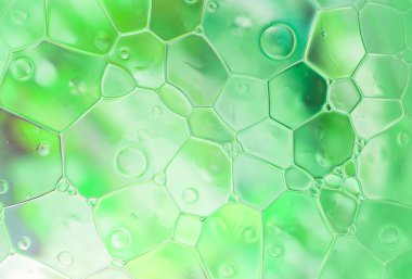 Renkli su damlaları