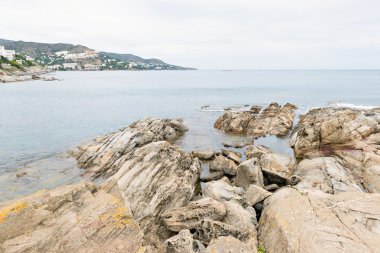 Gül - Costa Brava - Girona, İspanya
