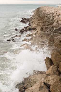 Dalgakıran bağlantı noktası koruyucu