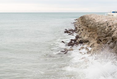 Dalgakıran bağlantı noktası koruyucu