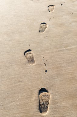 Kumda ayak izleri