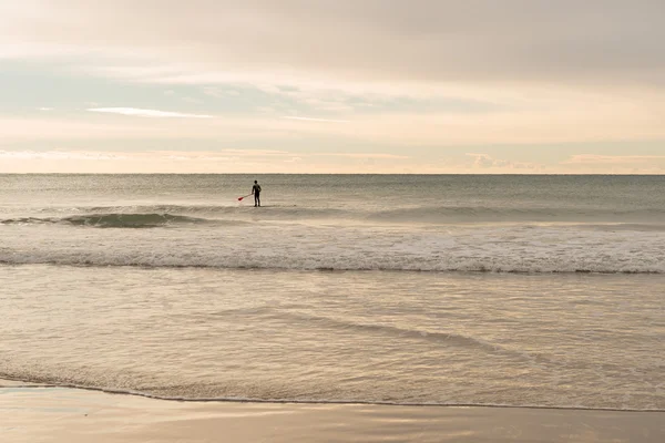 Paddle Surf no mar — Fotografia de Stock