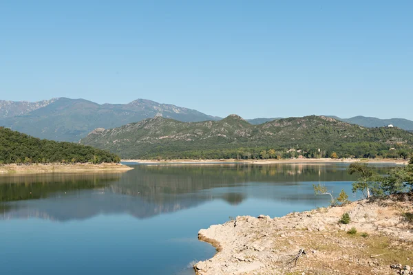 Swamp DARNIUS-BOADELLA (Girona) — Stockfoto