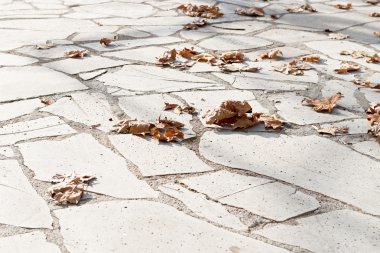 Sonbahar günbatımı bırakır