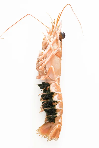 Nephrops norvegicus detail — Stockfoto