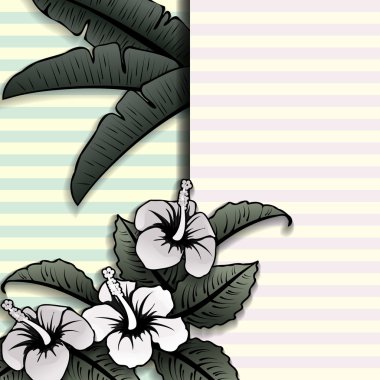 Vintage style tropical banner with hibiscus clipart