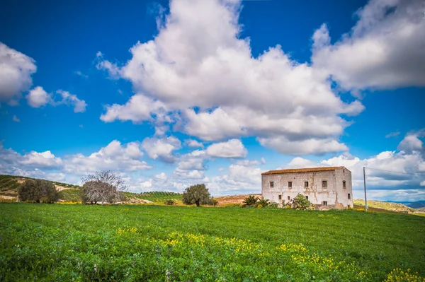 Schöne Sizilianische Landschaft Caltanissetta Sizilien Italien Europa — Stockfoto