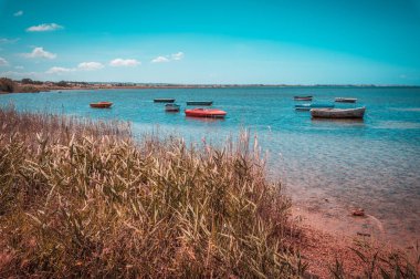 Laguna dello Stagnone Panoraması, Marsala, Trapani, Sicilya, İtalya, Avrupa