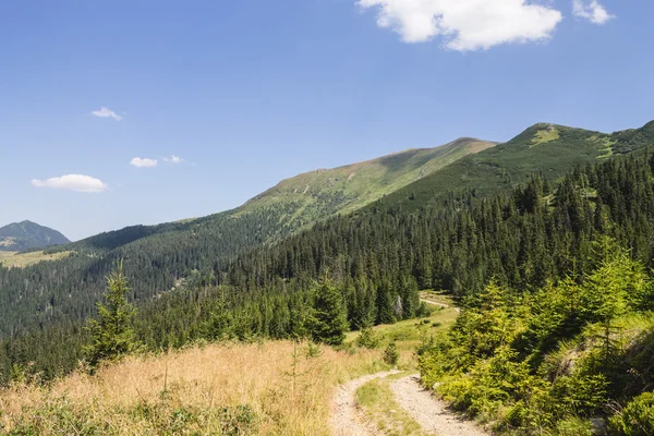 Letní krajina hory rozsah Marmarosy — Stock fotografie