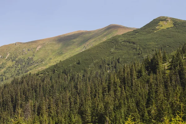 Paysage estival de la chaîne de montagnes de Marmarosy — Photo