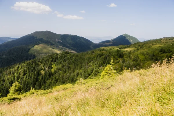 Summer landscape of Marmarosy mountains range — Stock Photo, Image