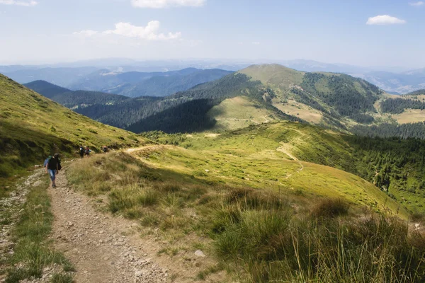 Summer landscape of Marmarosy mountains range — Stock Photo, Image