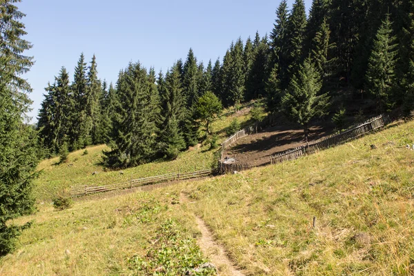 Paysage estival de la chaîne de montagnes de Marmarosy — Photo