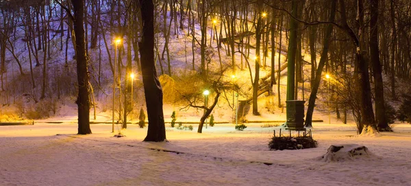 冬天晚上景观 — 图库照片