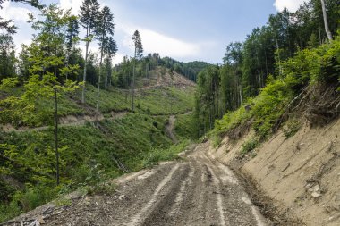 Yeşil dağlar ve mavi bulutlu gökyüzü